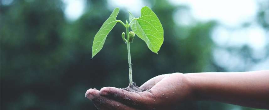 La Humboldt se une a la lucha para proteger la capa de ozono