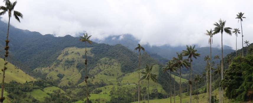 En diciembre visita el Quindío, un tesoro mágico por explorar