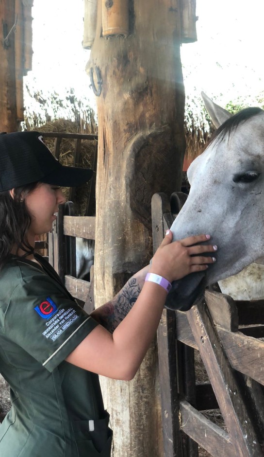 Medicina Veterinaria y Zootecnia